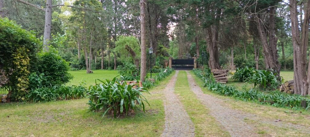 WhatsApp Image 2025-10-16 at 17.27.19 (2)