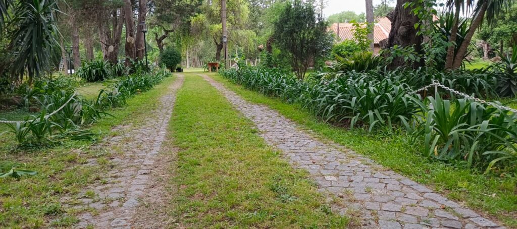 WhatsApp Image 2025-10-16 at 17.27.19 (3)