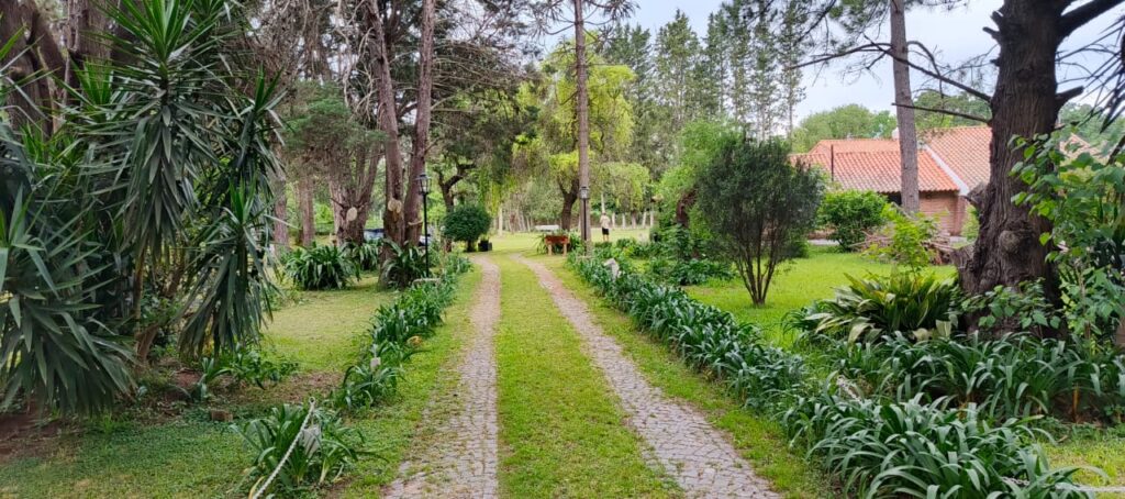 WhatsApp Image 2025-10-16 at 17.27.20